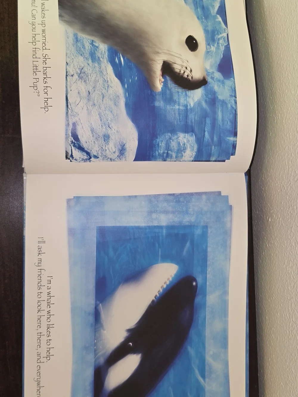 Shamu and the Adventurous Seal Pup Picture Book - Blue Cover